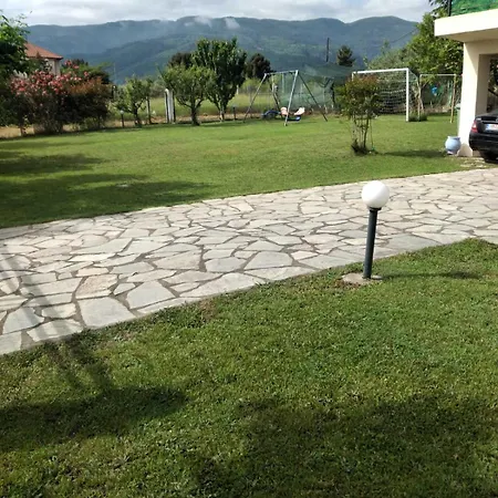 Jenny レプトカリヤ