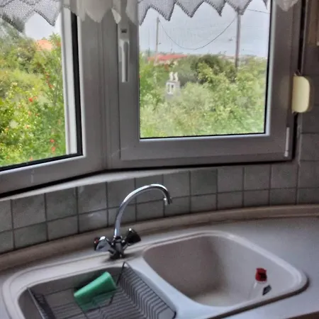 Jenny レプトカリヤ