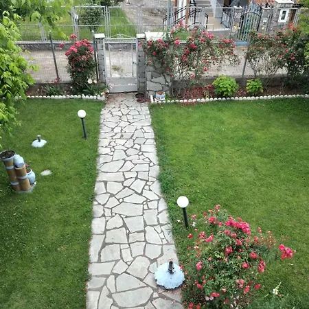 Jenny レプトカリヤ