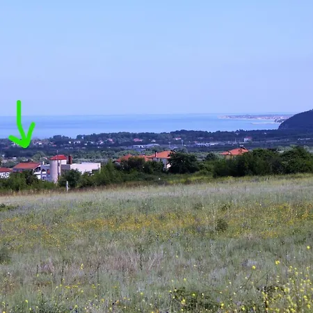 Jenny * レプトカリヤ